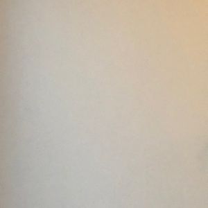 Meet your Posher, Angelica